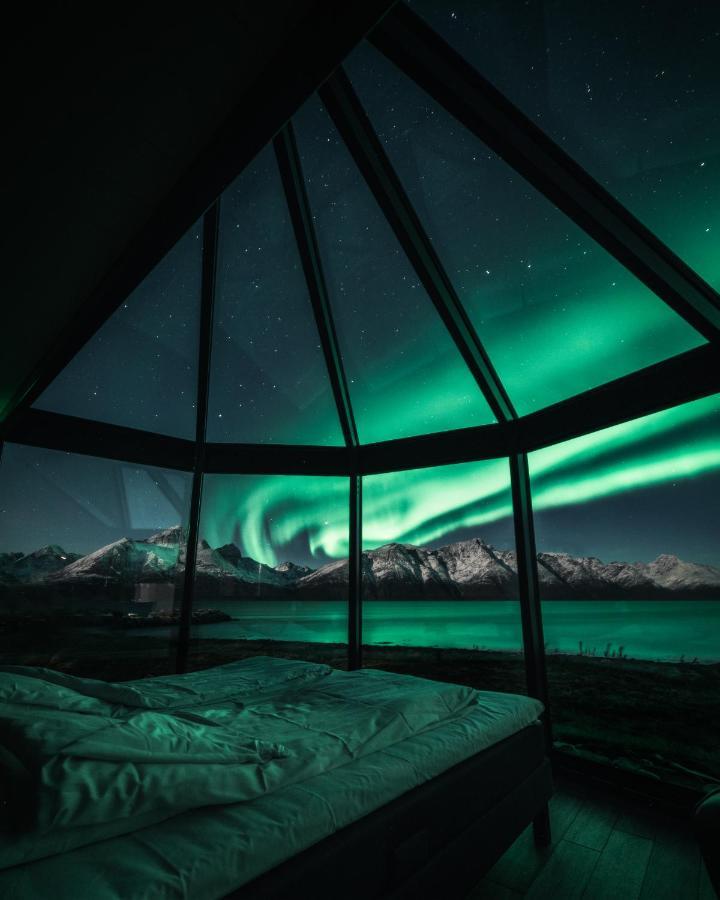 Lyngen North Villa Rotsund Exterior photo